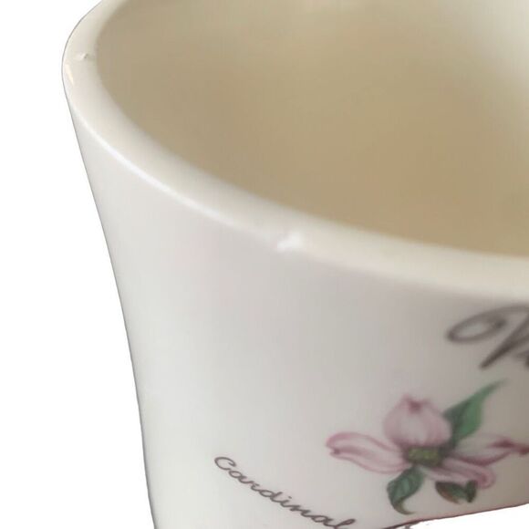 Vintage Virginia Souvenir Coffee Mug Cardinal American Dogwood Design Classic - Picture 7 of 13